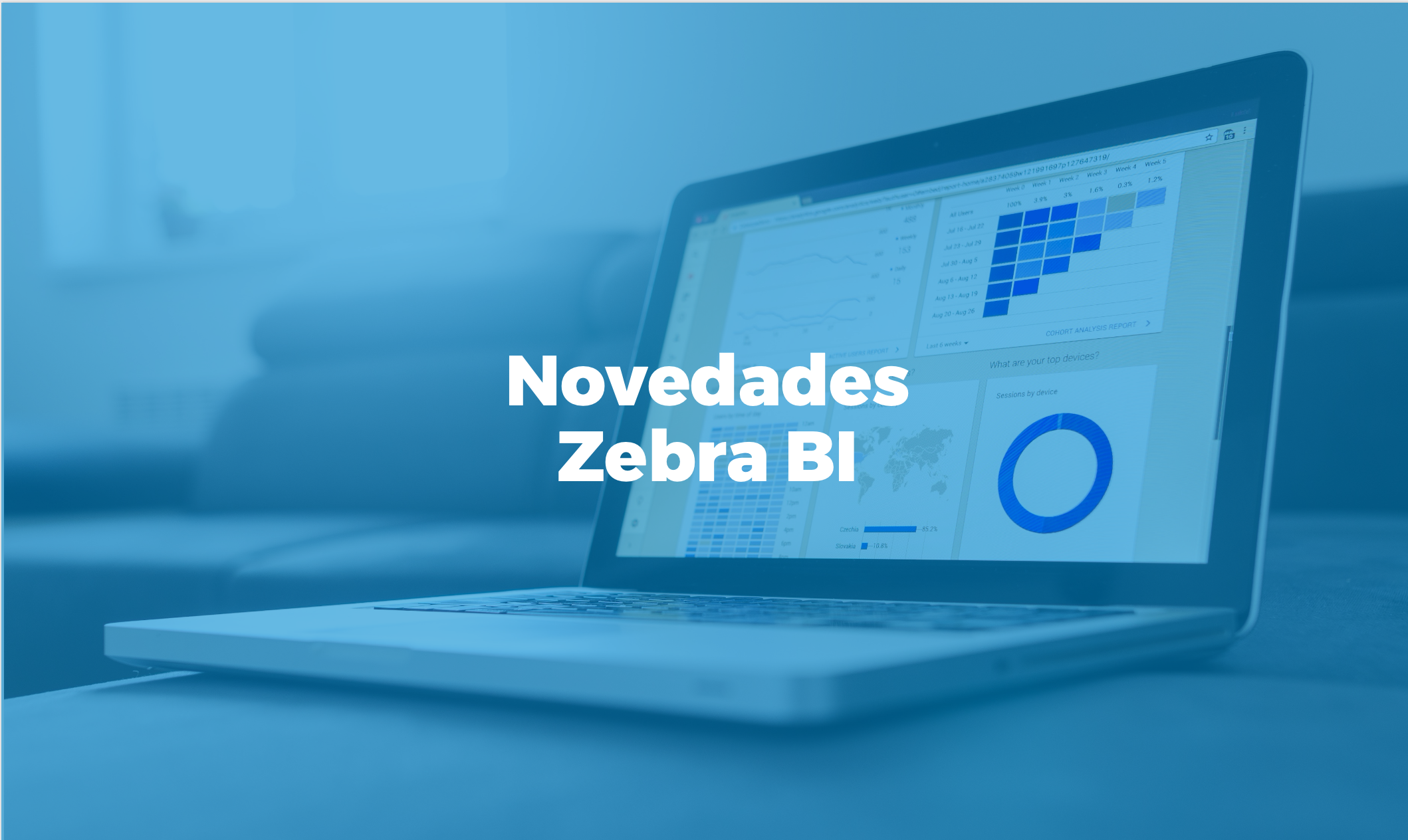 Novedades de Zebra BI | Bismart